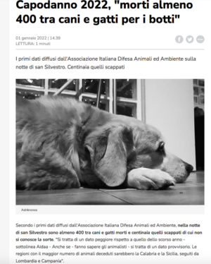 Schermata-2022-01-03-alle-09.50.44-e1641220843484