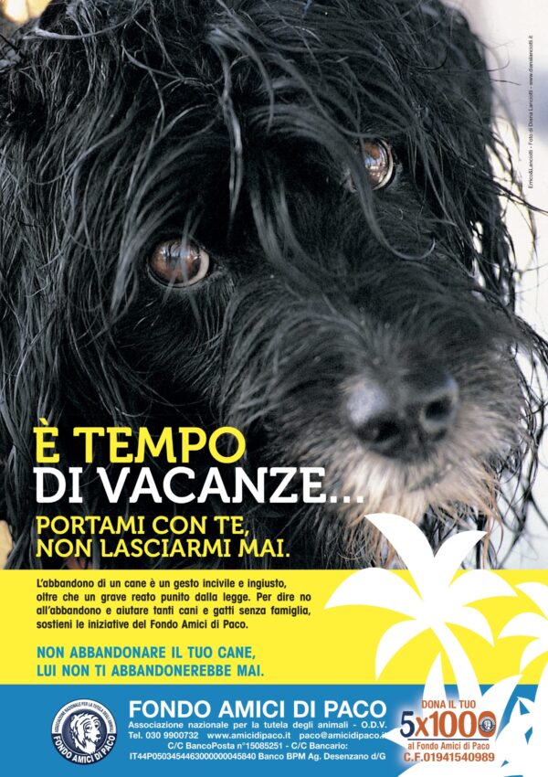 PACO Tempo di vacanze 2022 Verità 276×390,682 PACO