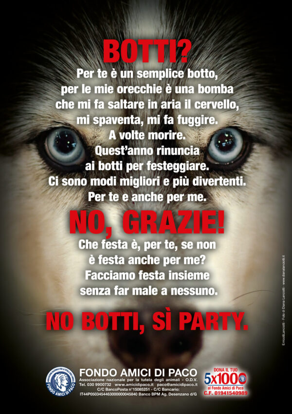 Camapagna No botti, sì party