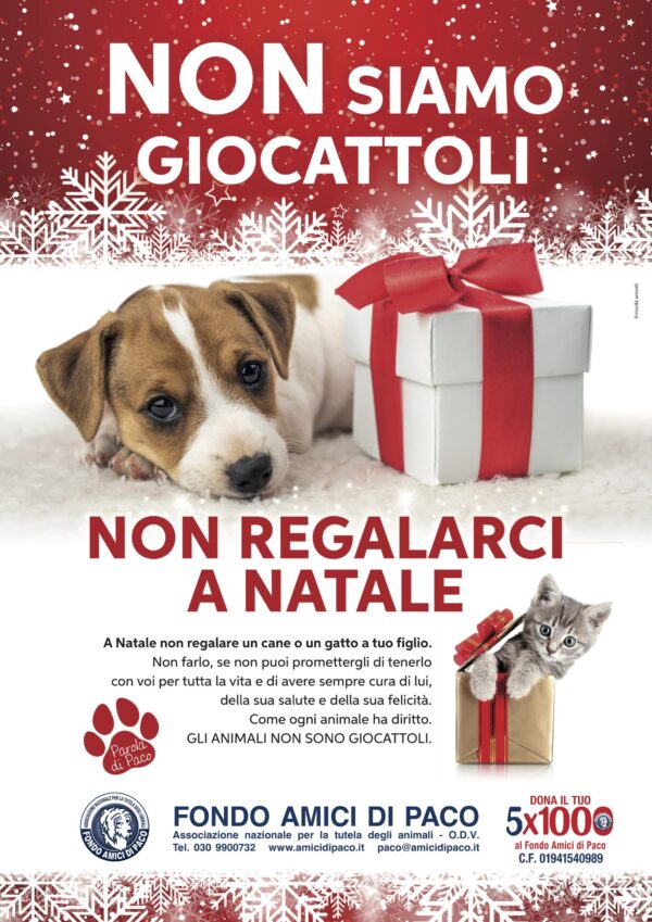 Campagna Natale Paco 2021 A3
