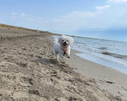 spritz-al-mare