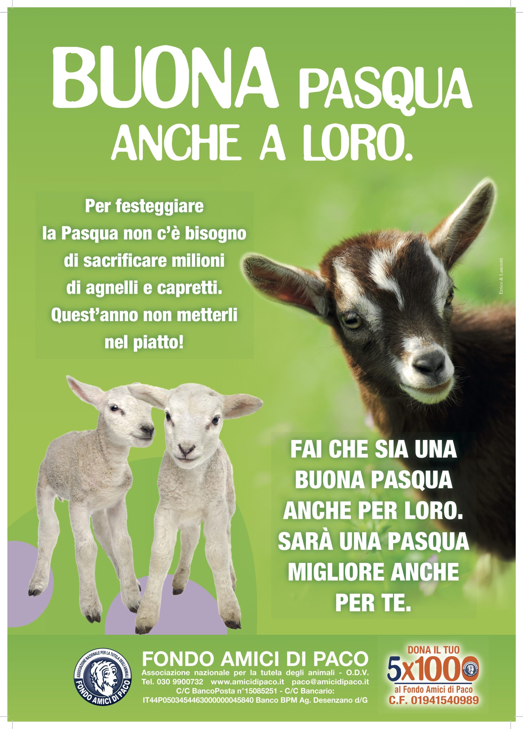 Buona Pasqua anche a loro 2023