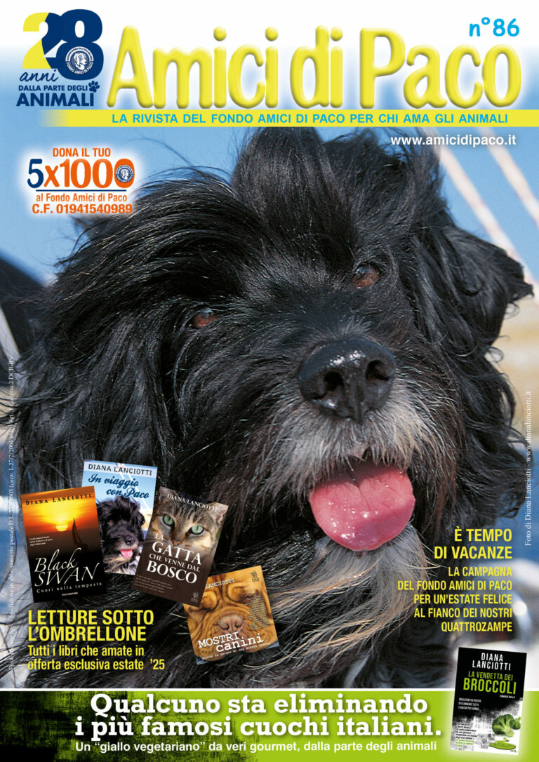 Copertina AdP 86